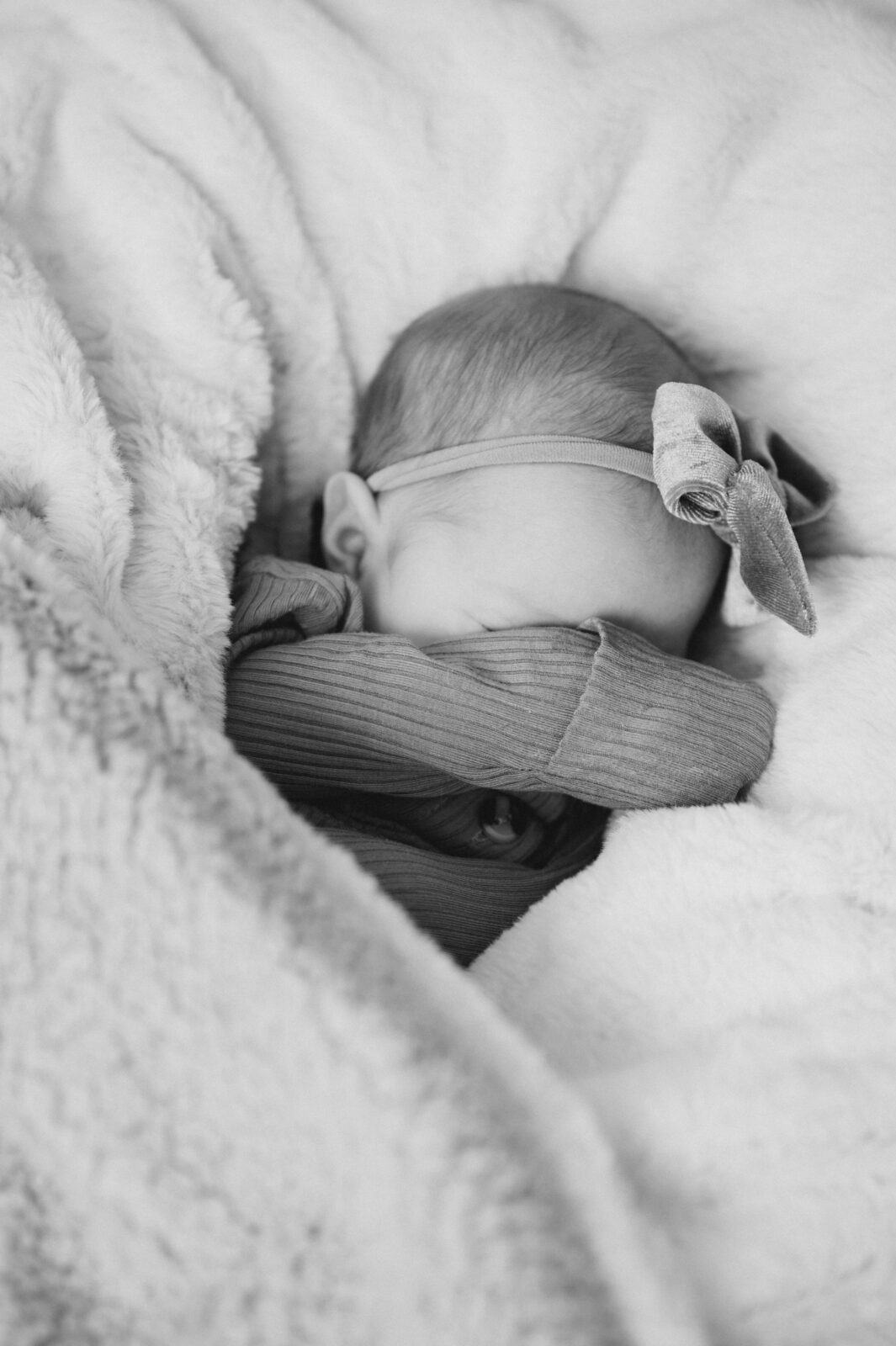 rexburg newborn photographer