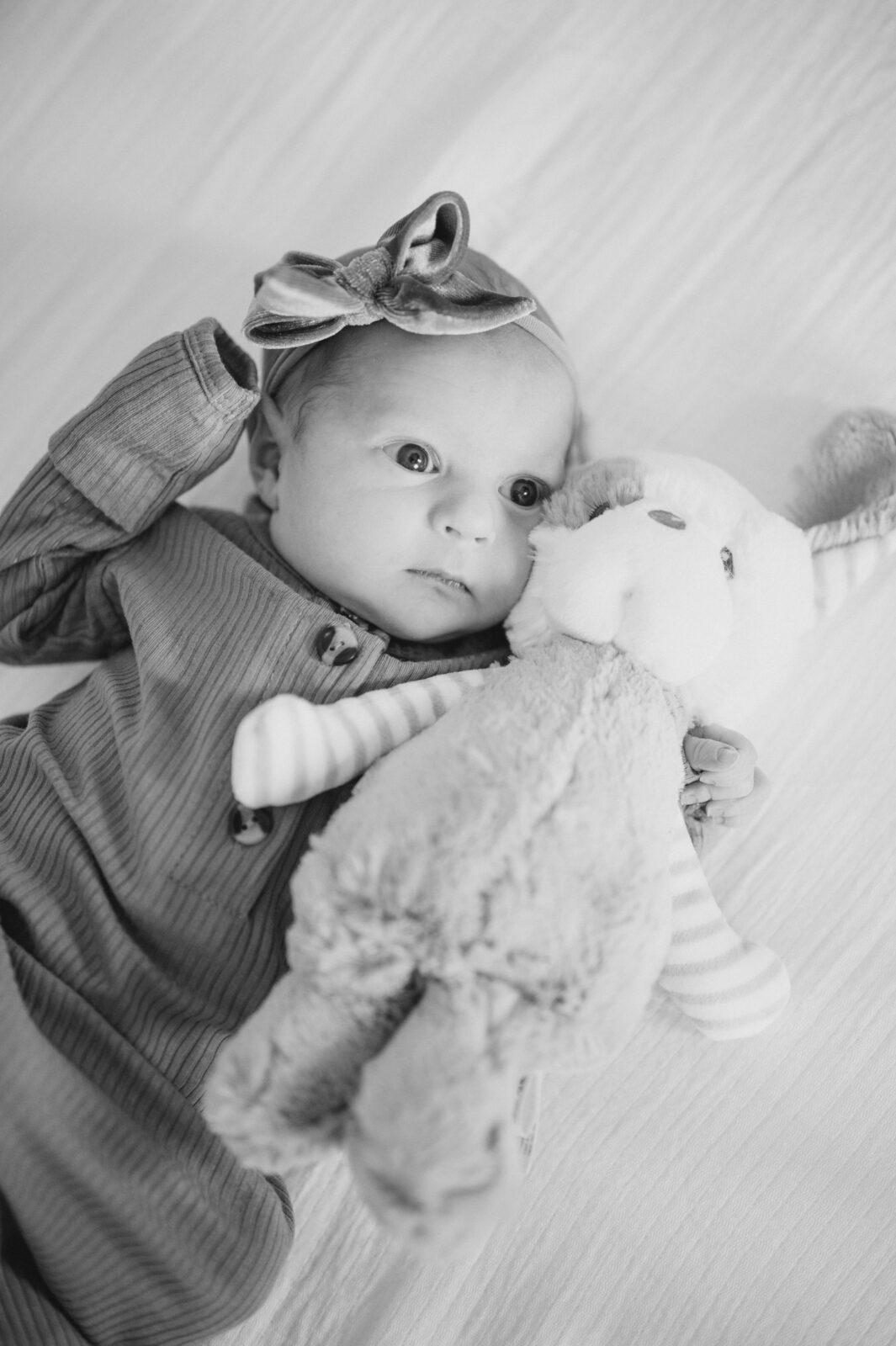 newborn photography rexburg
