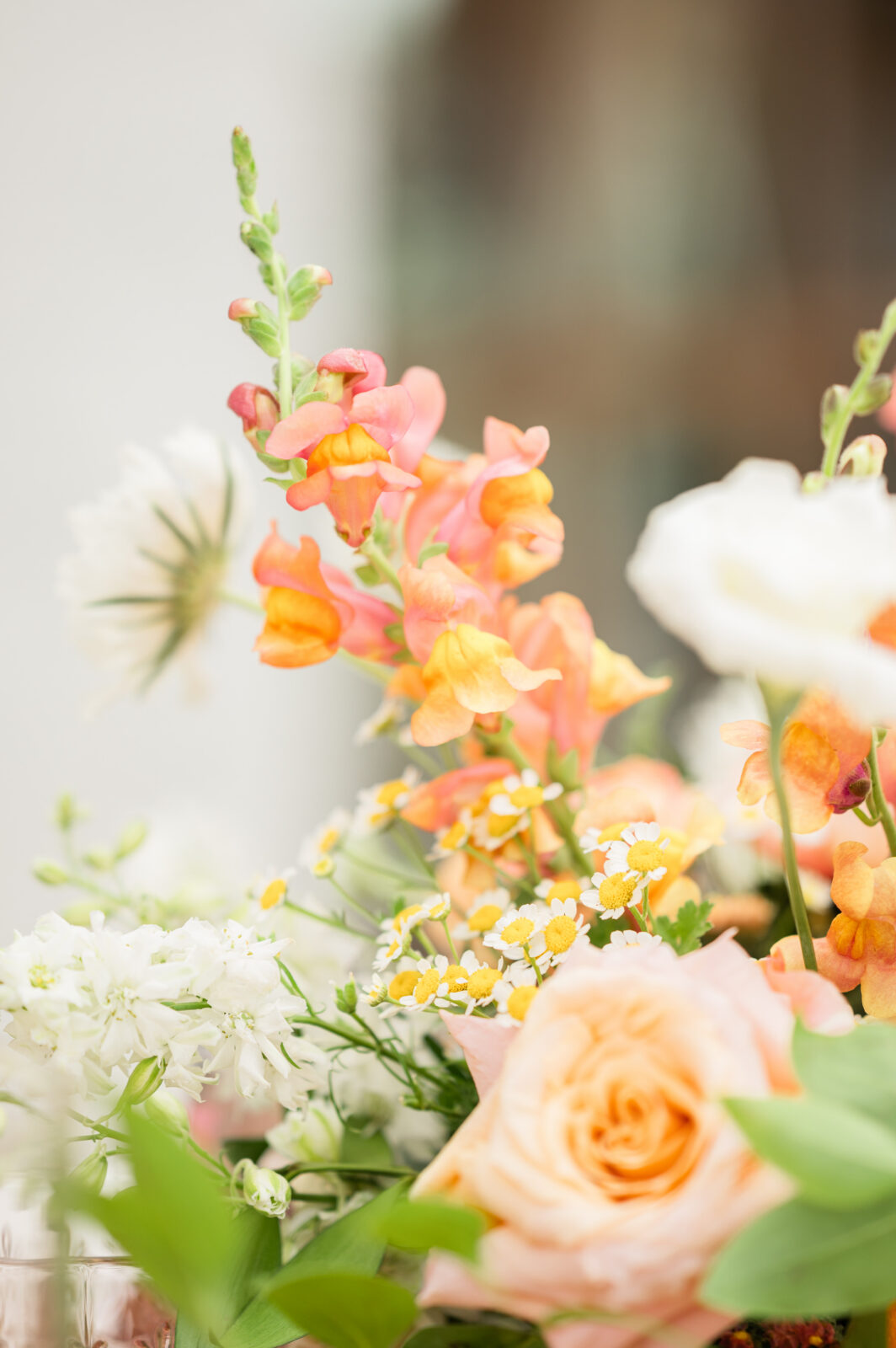 Rexburg wedding photographer