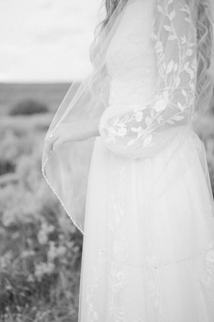 Jackson Wyoming wedding Photographer