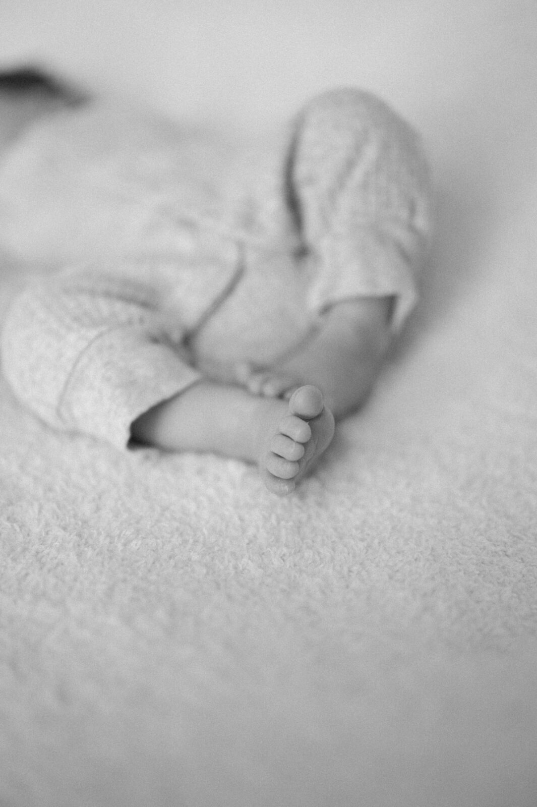 Best family photographer in Rexburg