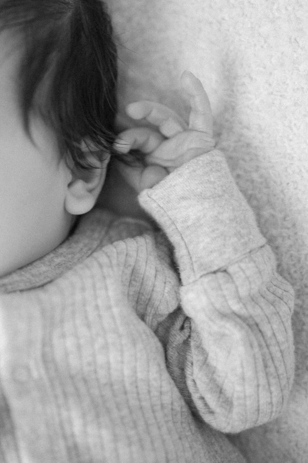 Best family photographer in Rexburg