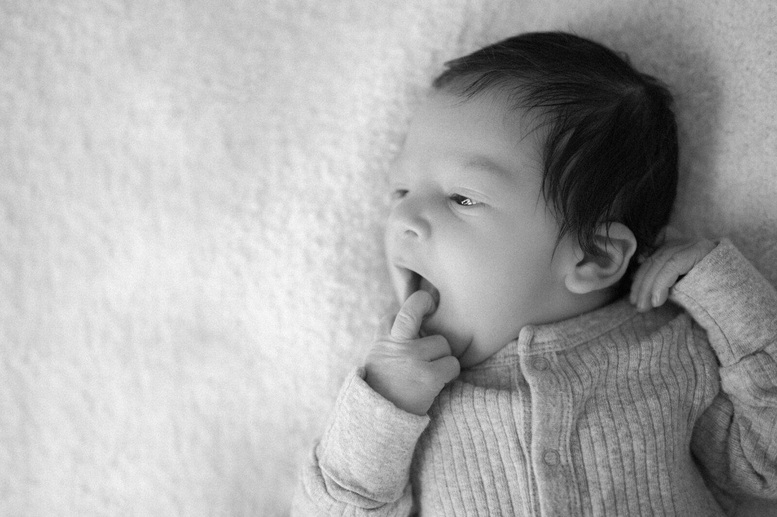 Best family photographer in Rexburg