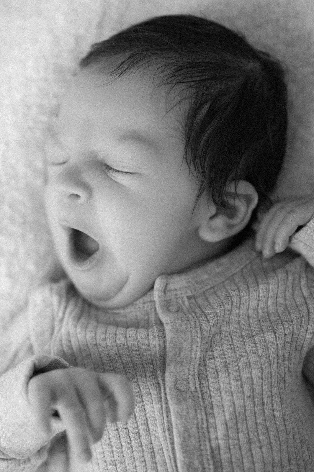 Best family photographer in Rexburg