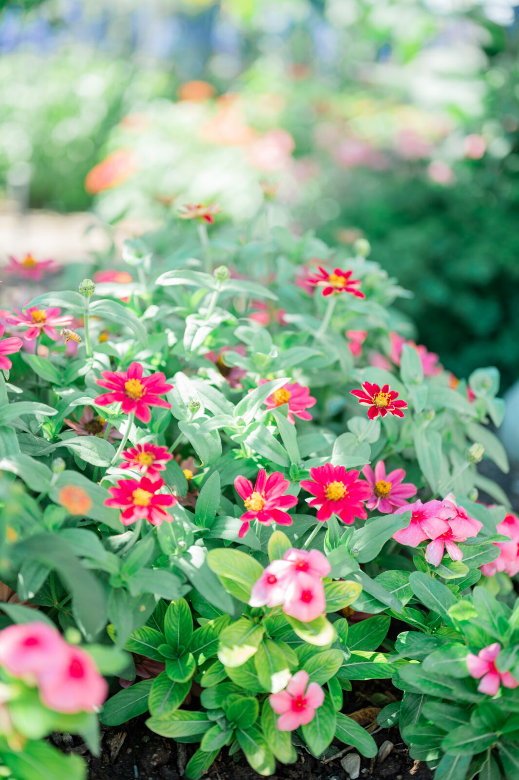 Best Rexburg wedding photography