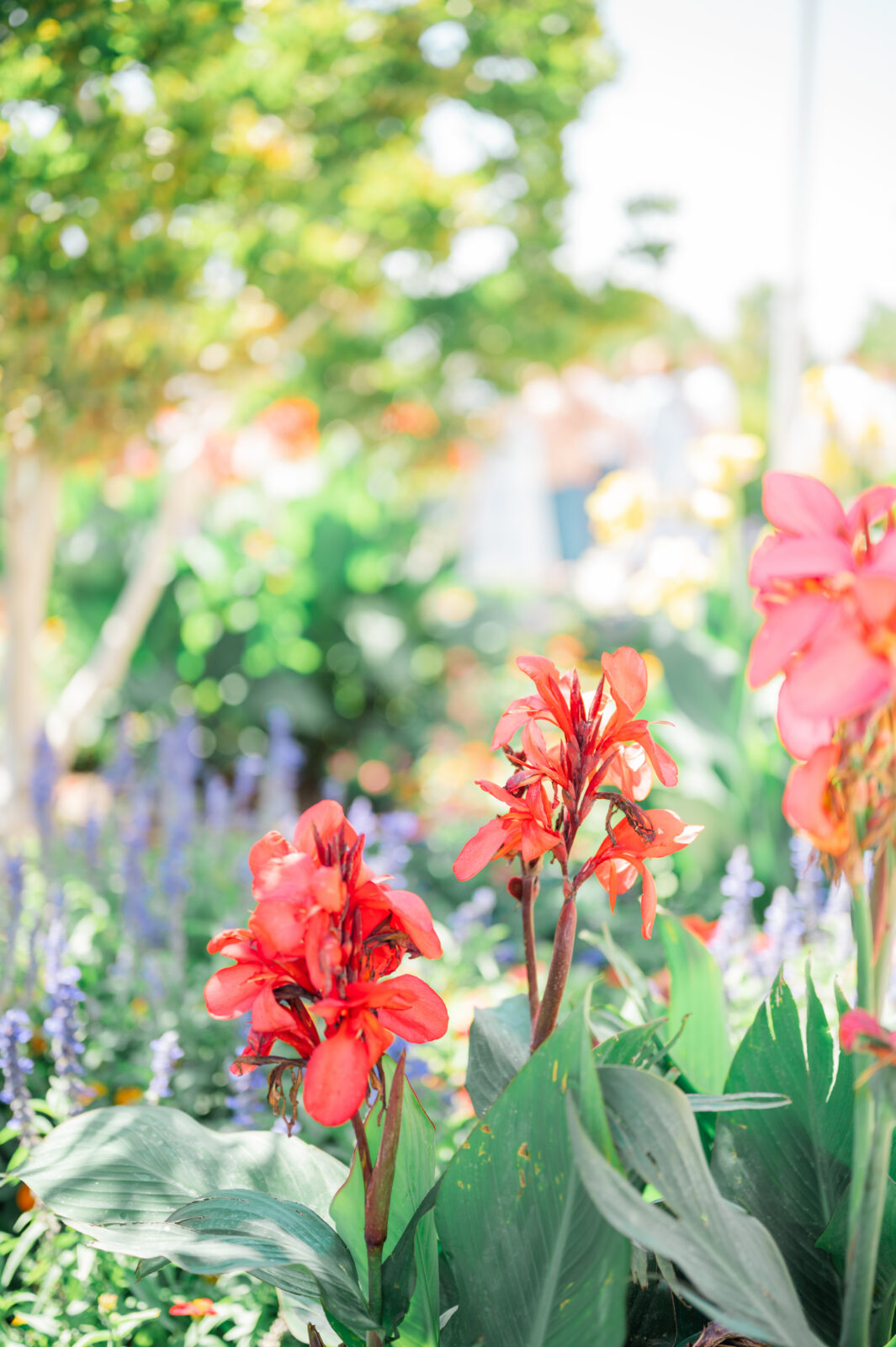 Best Rexburg wedding photography