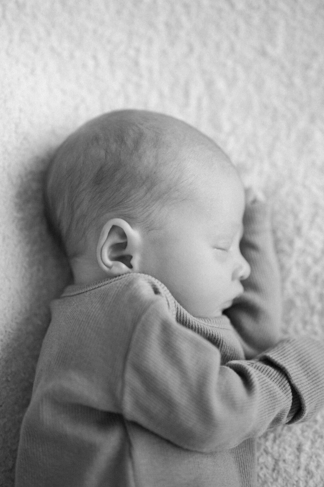 Best family photographer in Idaho Falls