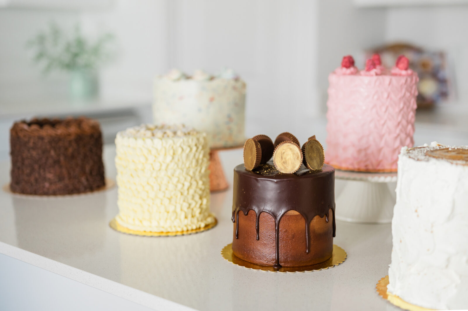 Photographer in Rexburg