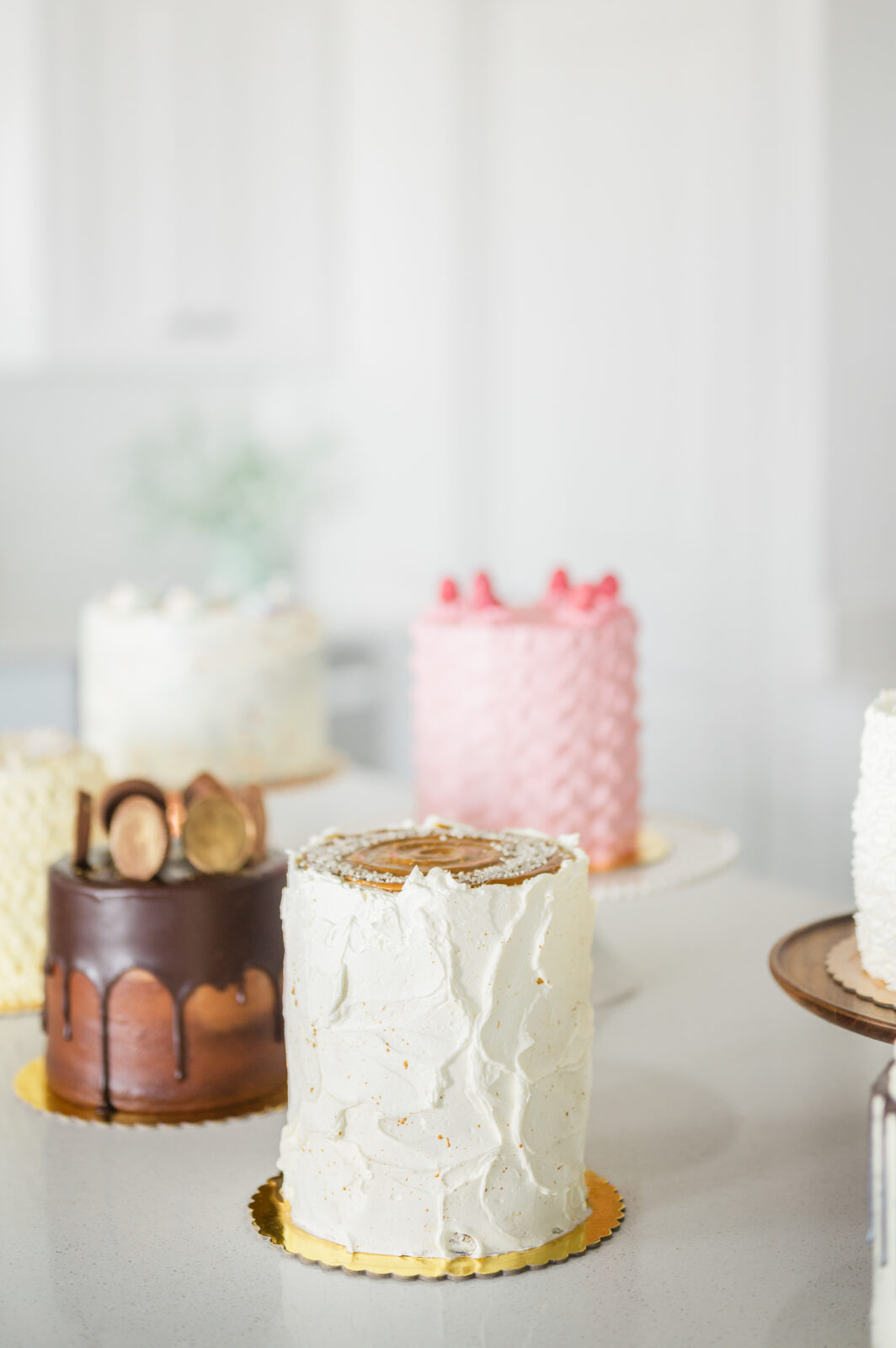 Photographer in Rexburg