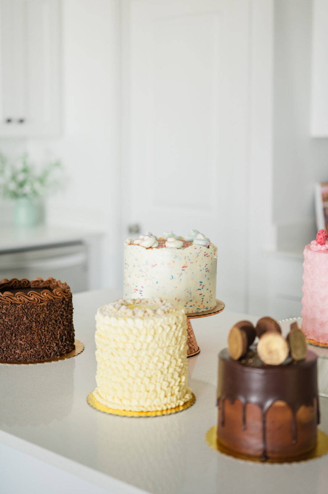 Photographer in Rexburg