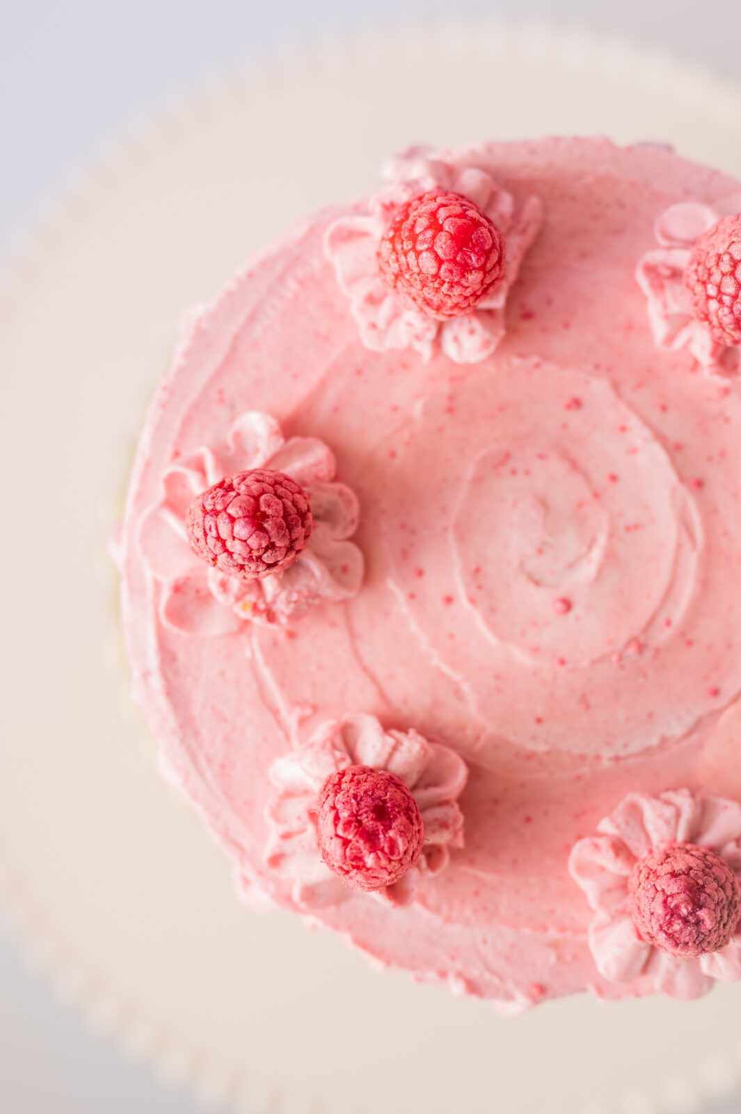 Photographer in Rexburg