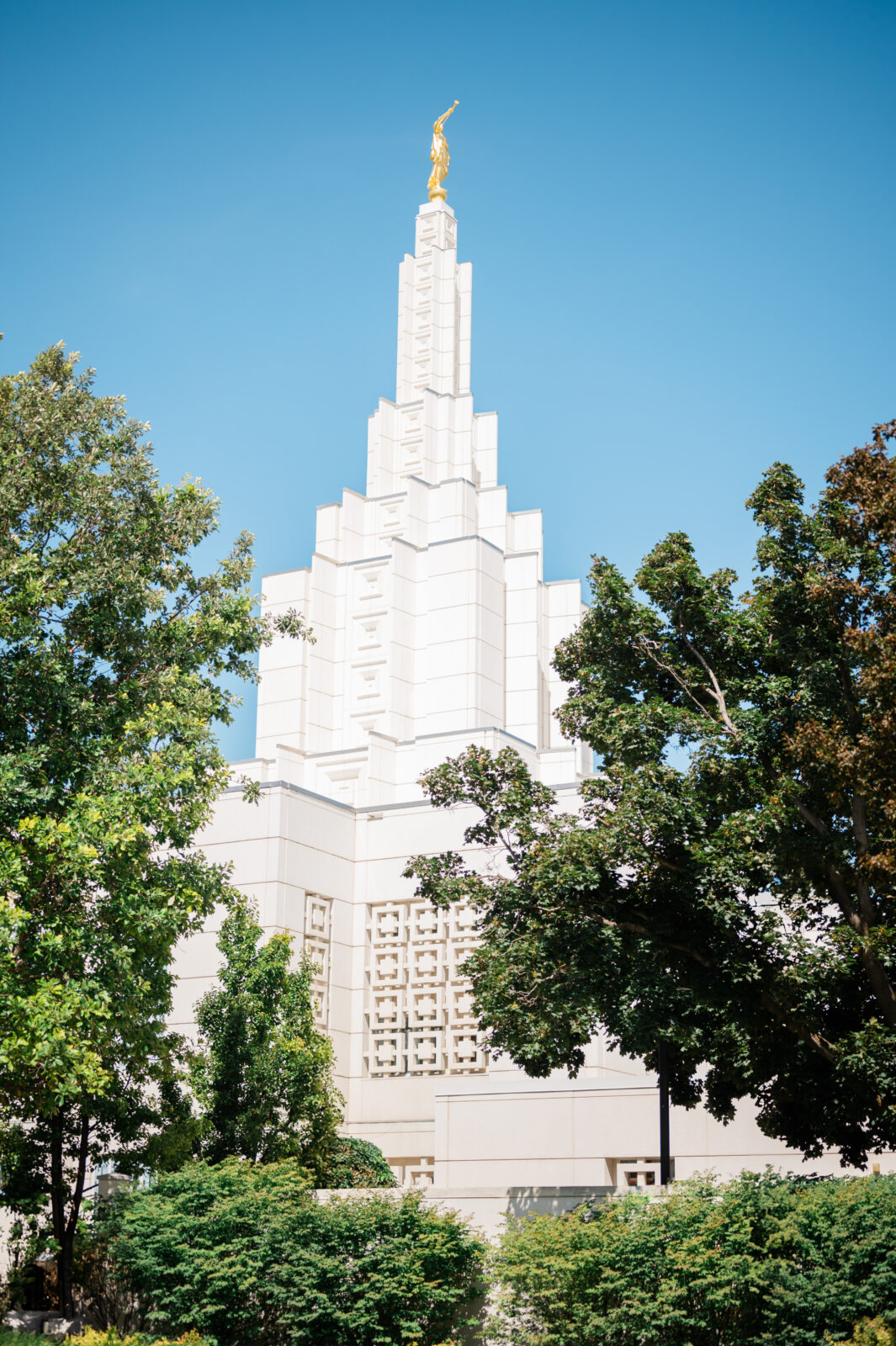 Best wedding photographer in Idaho Falls