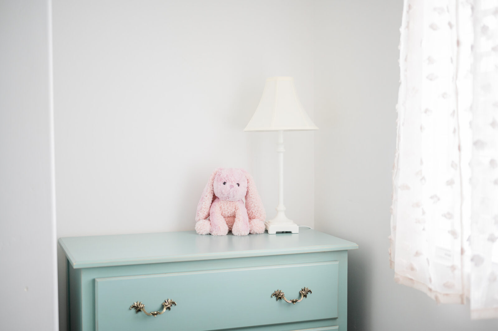 Rexburg family photographer