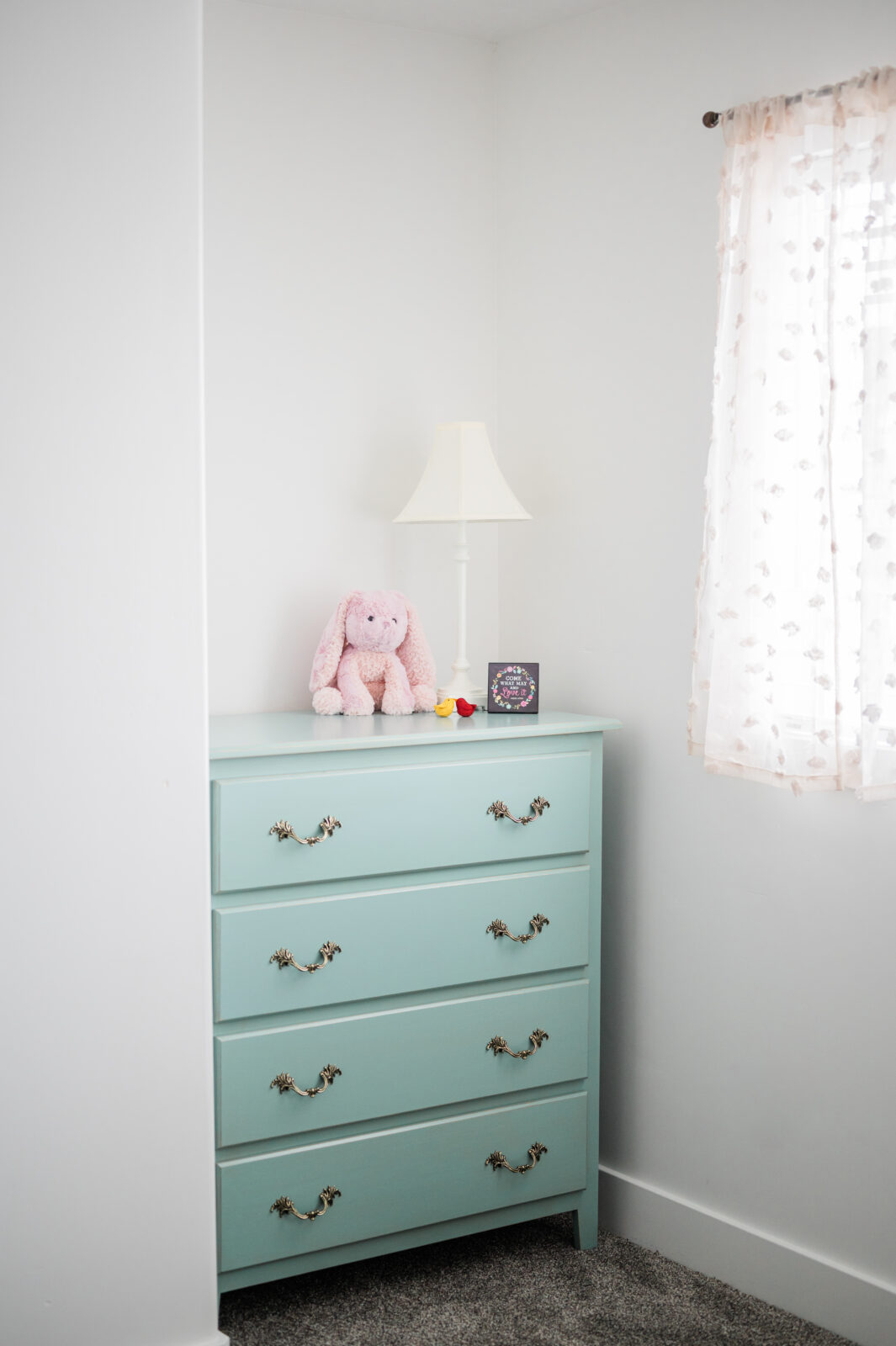 Rexburg family photographer