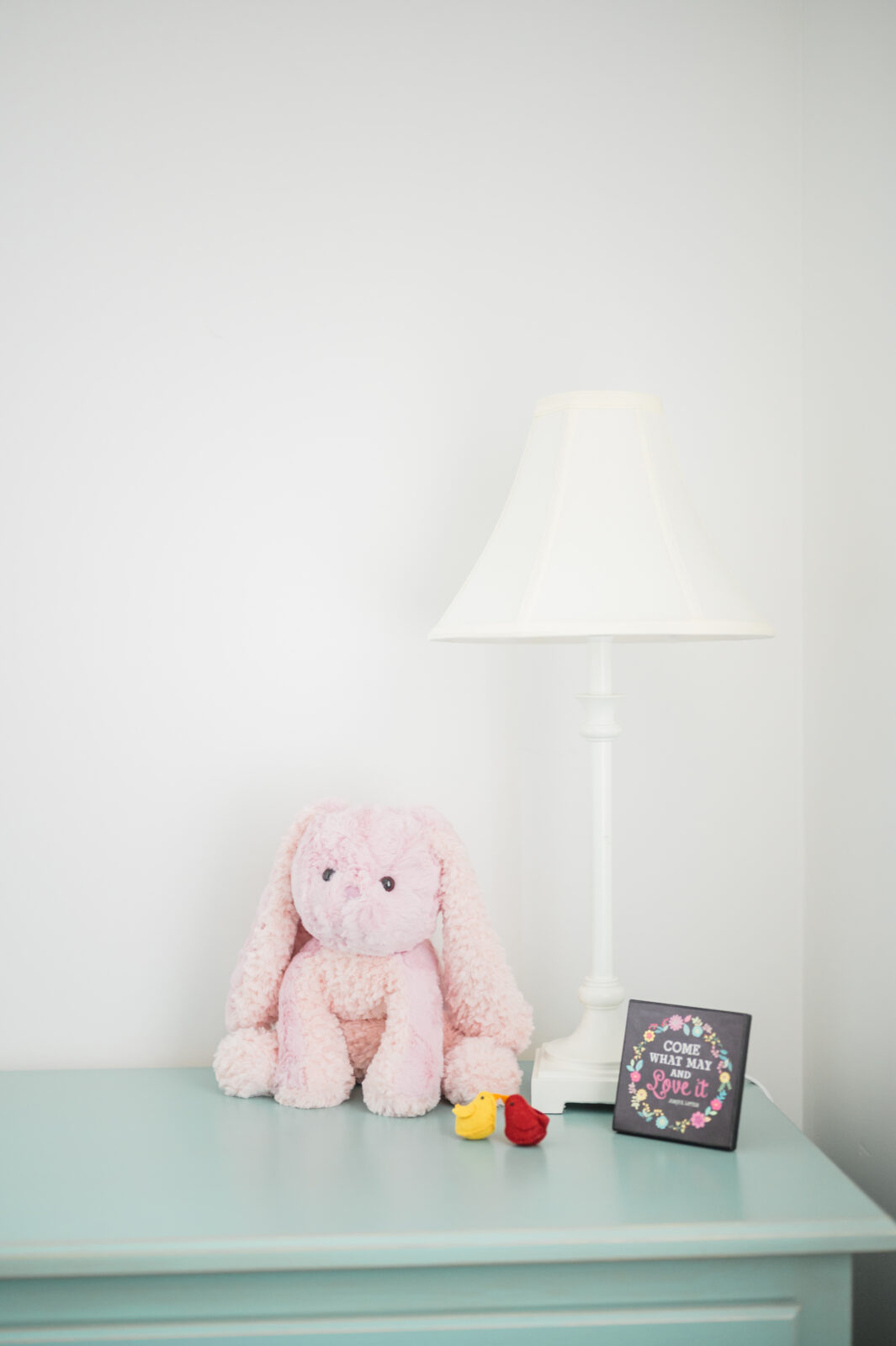 Rexburg family photographer