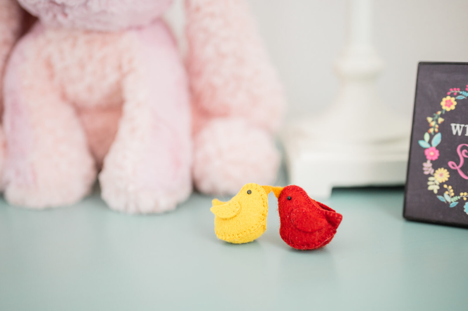 Rexburg family photographer