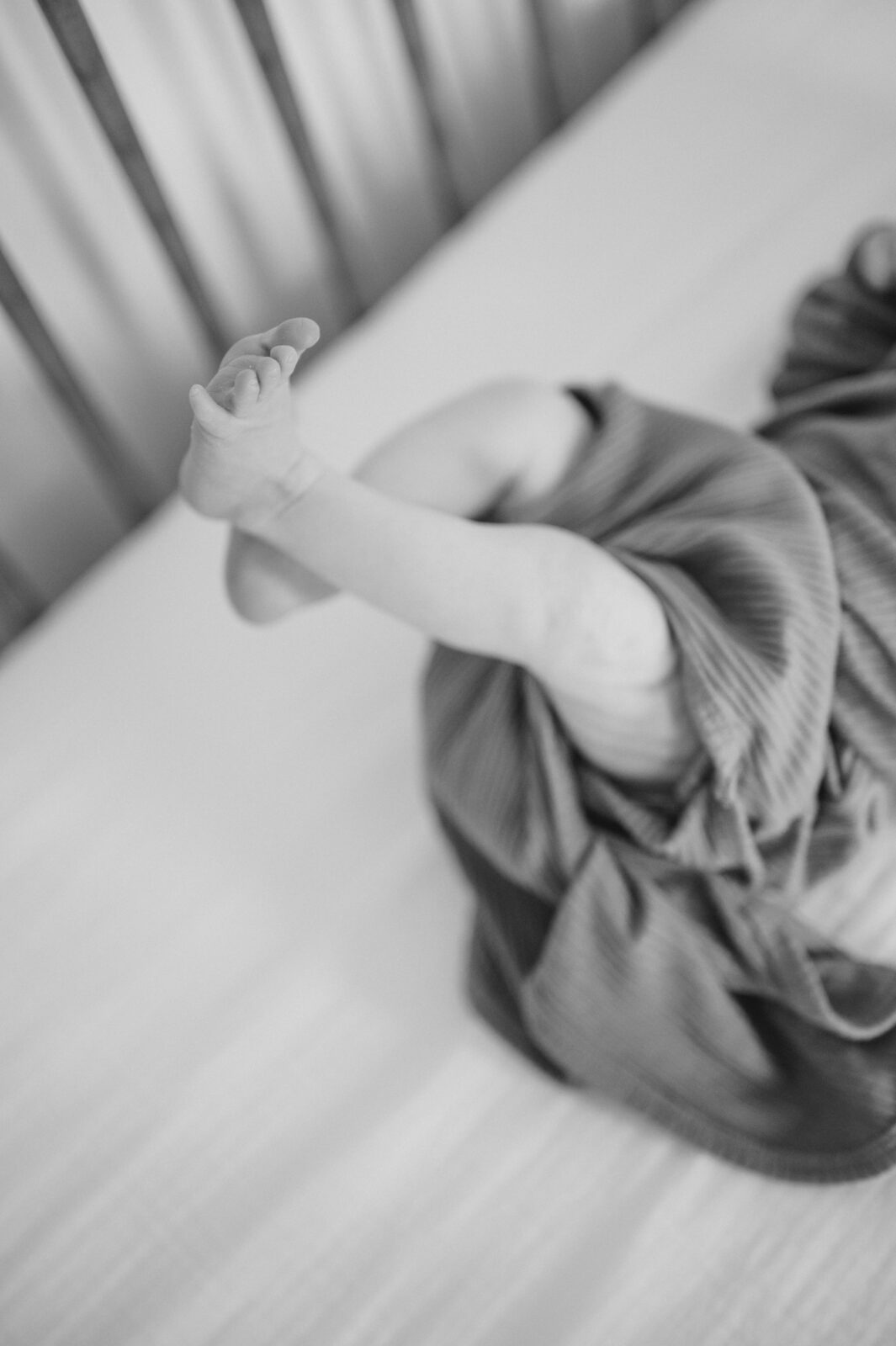 Rexburg family photographer