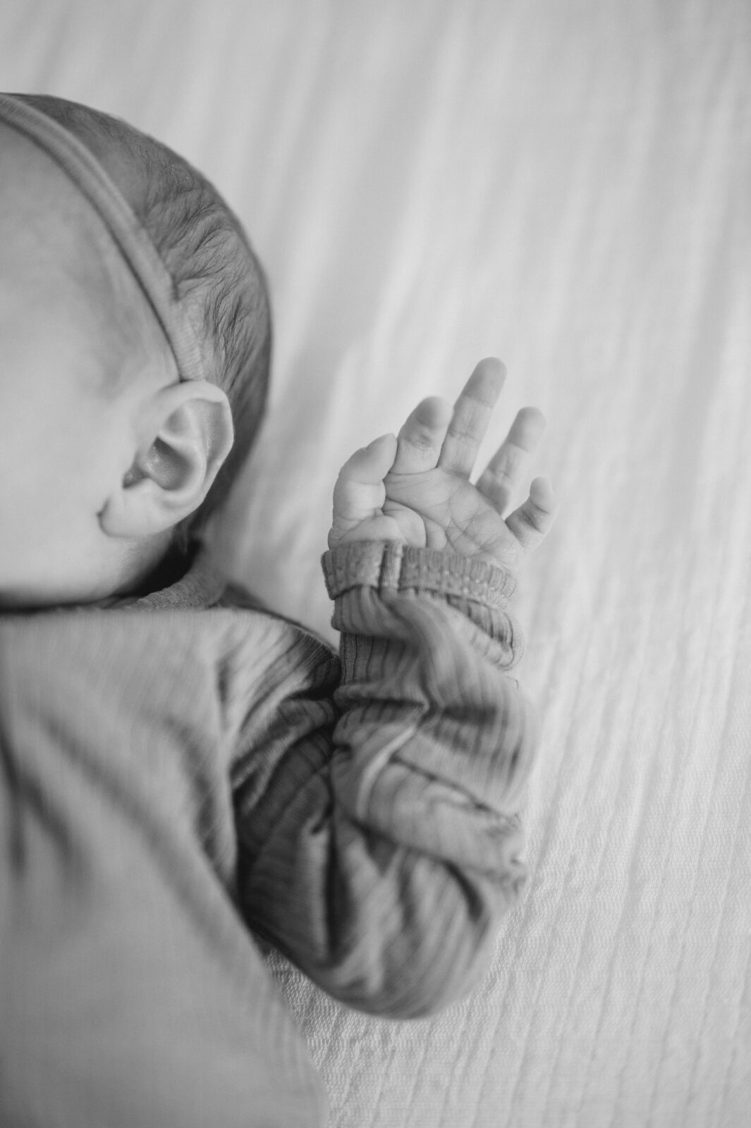 Rexburg family photographer