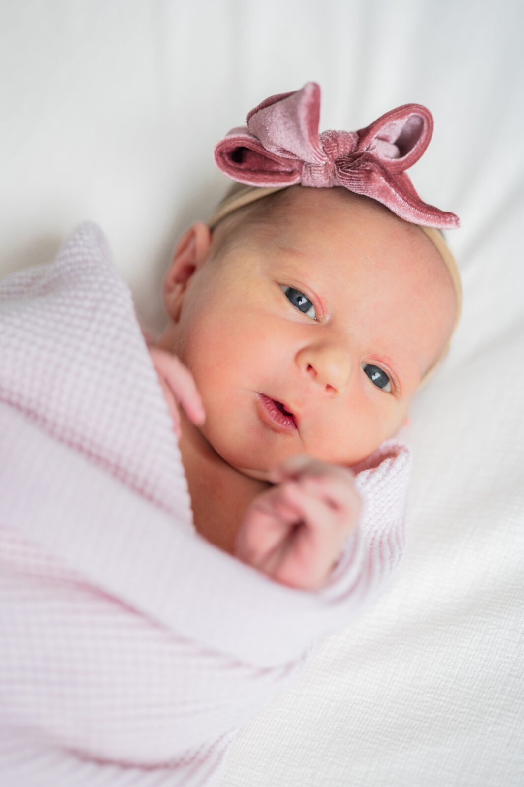 Rexburg family photographer