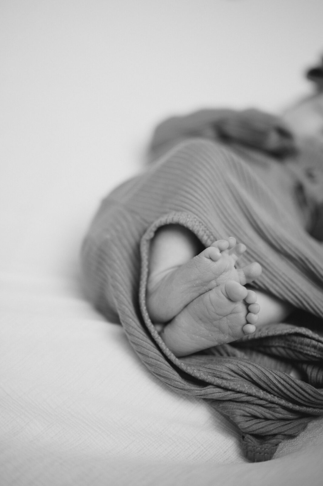 Rexburg family photographer