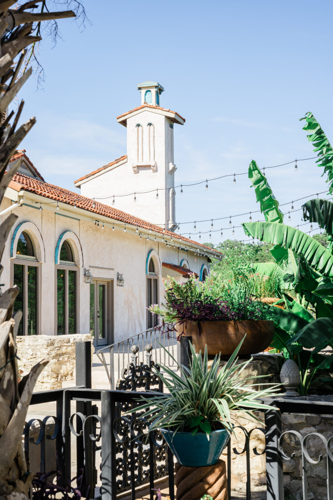 Jackson Wyoming wedding photographer