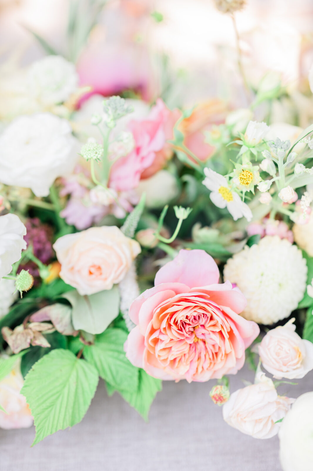 Jackson Wyoming Wedding Photography