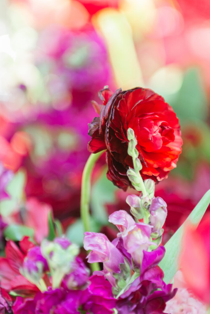 Jackson Hole Wedding Photography