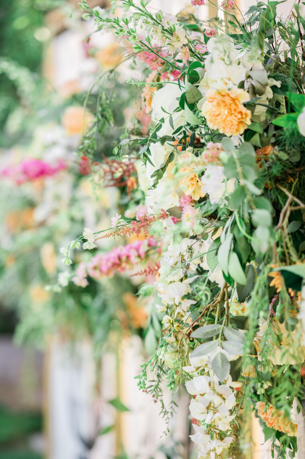Jackson Hole Wedding Photographer