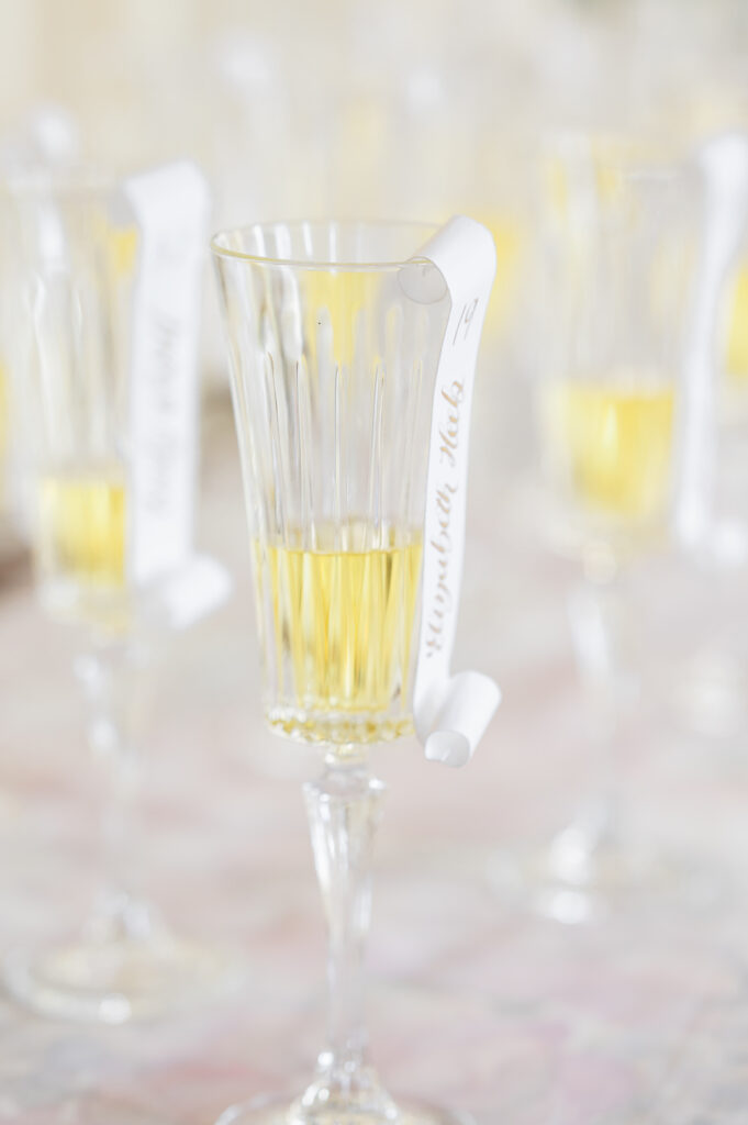 Jackson Hole Wedding Photographers