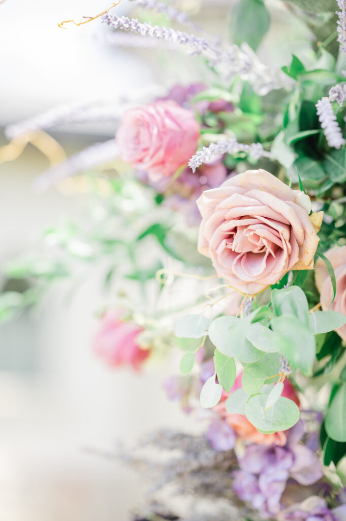 Jackson Hole Wedding Photographers