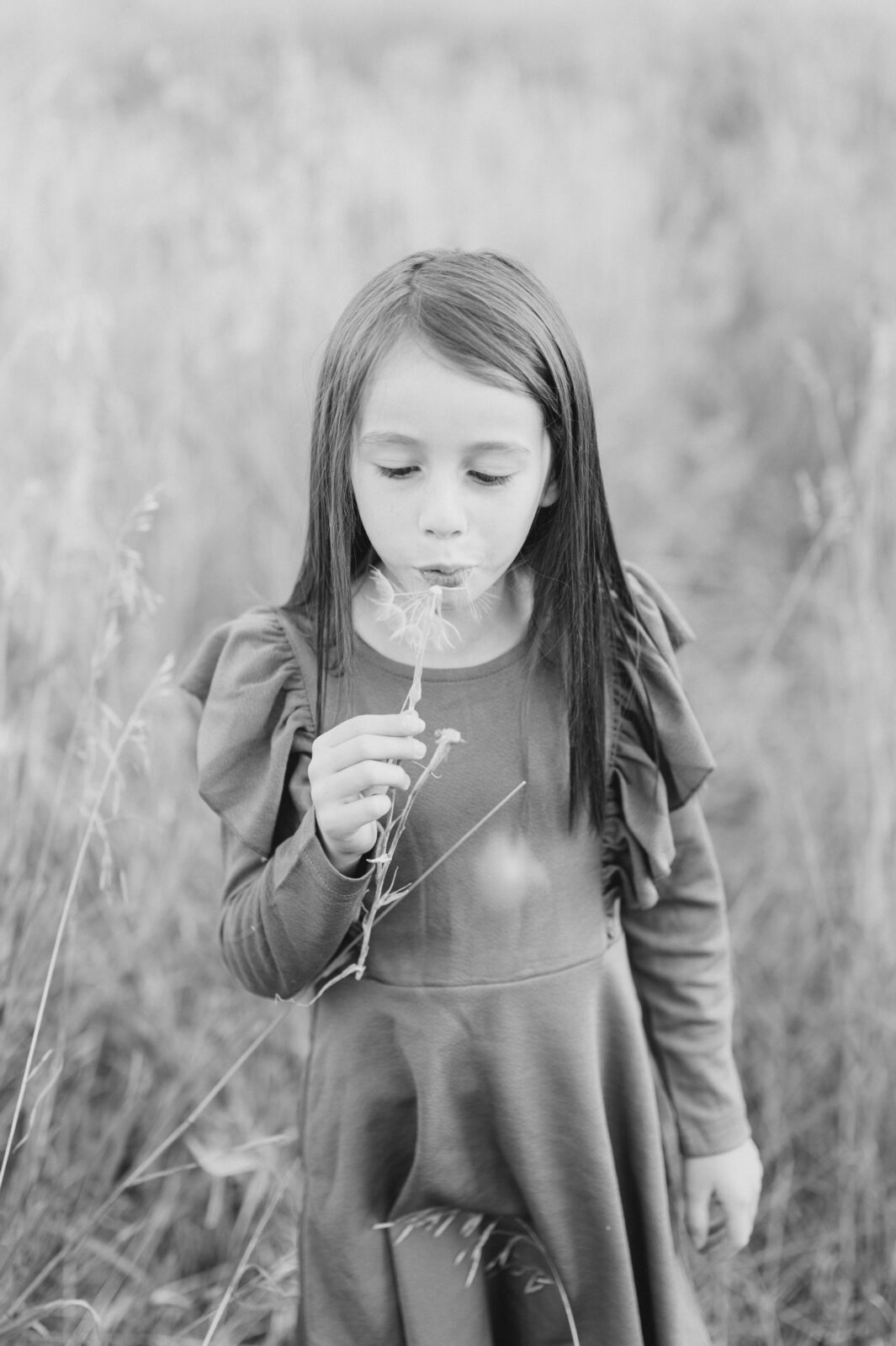 Rexburg photographer