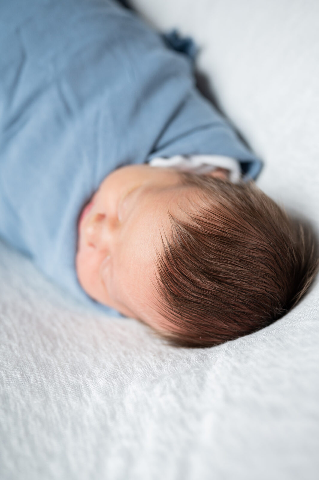 Rexburg family photos