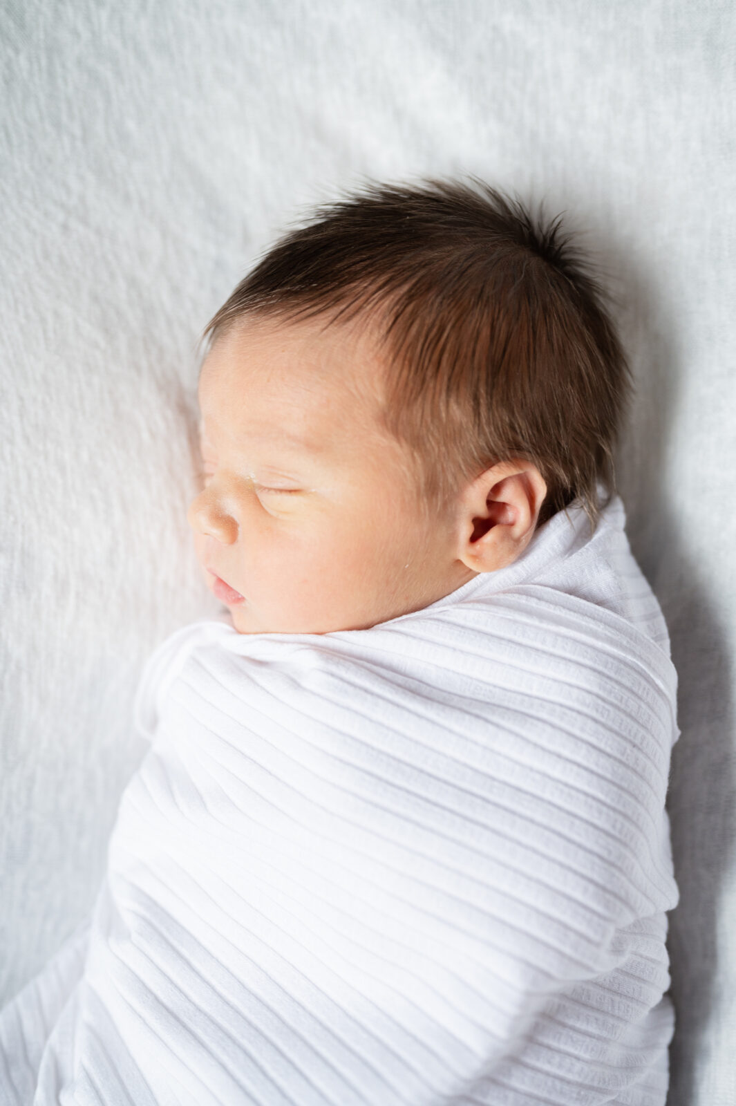 Family photographer in Rexburg