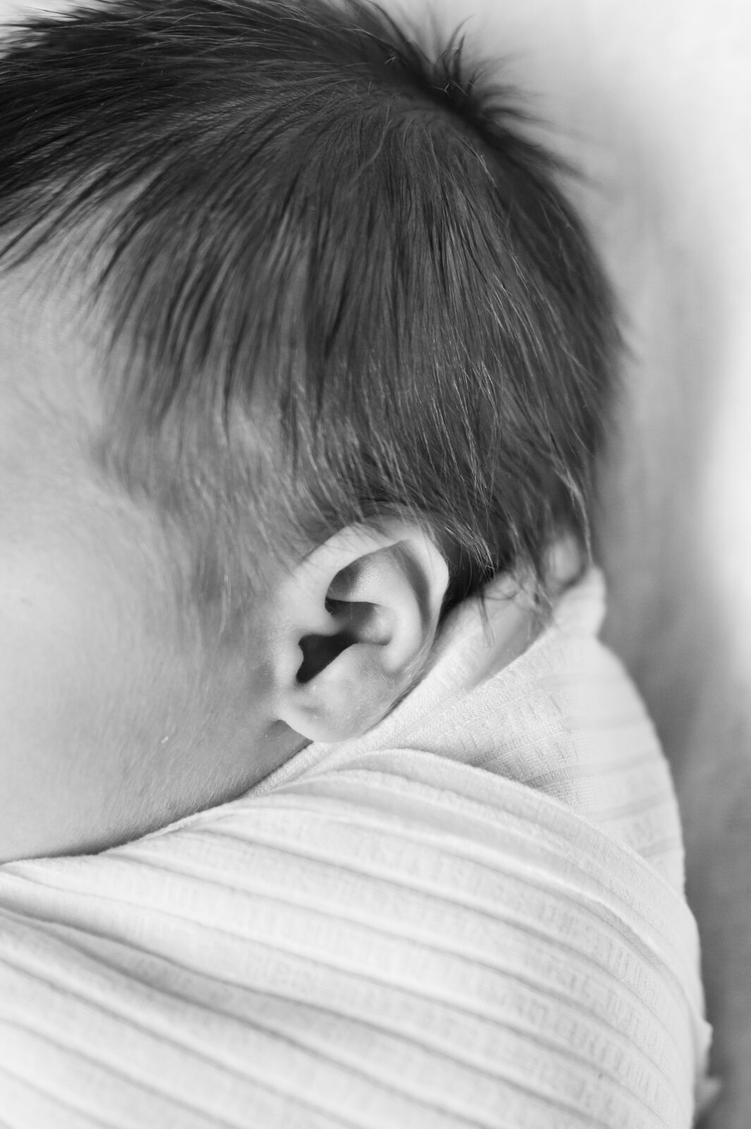 Idaho Falls family photos