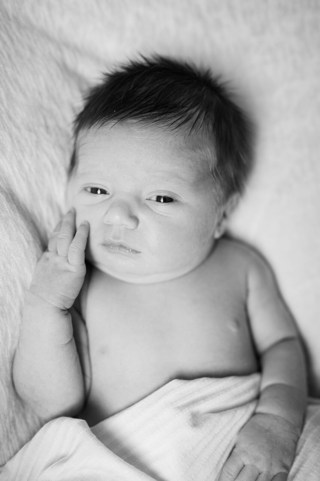 Family photographer in Rexburg