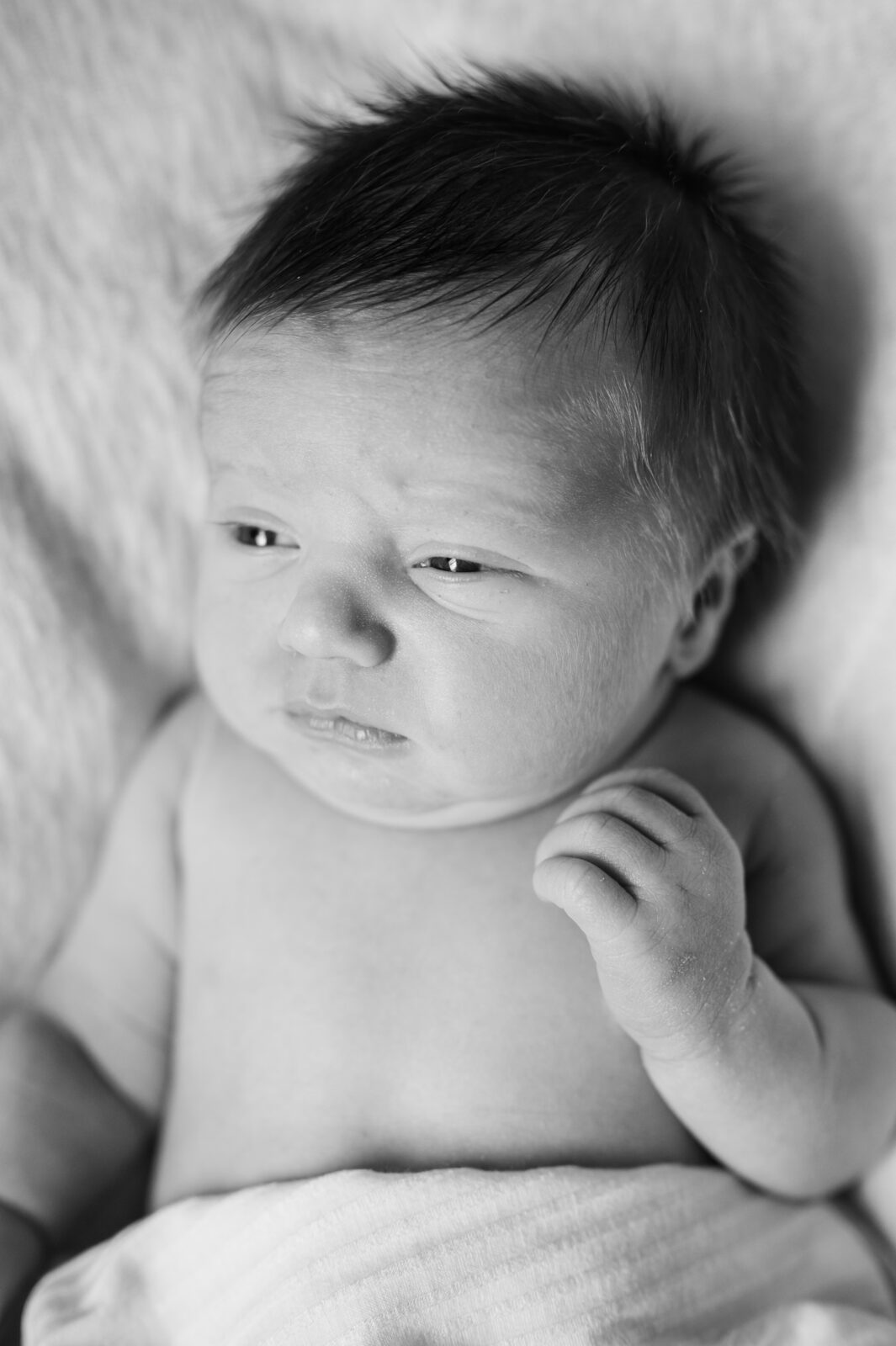 Rexburg newborn photography