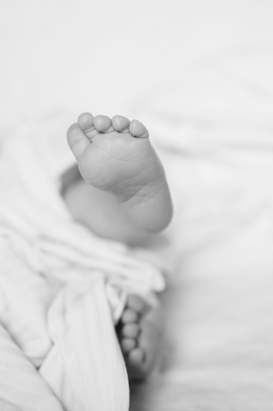 Newborn photos in Rexburg