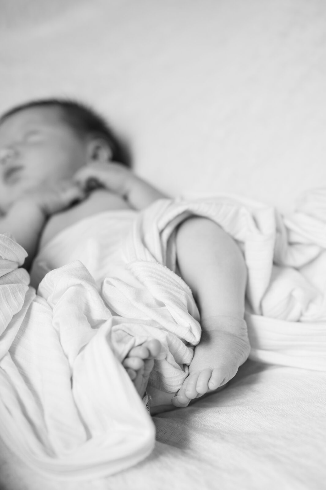 Newborn photos in Idaho Falls