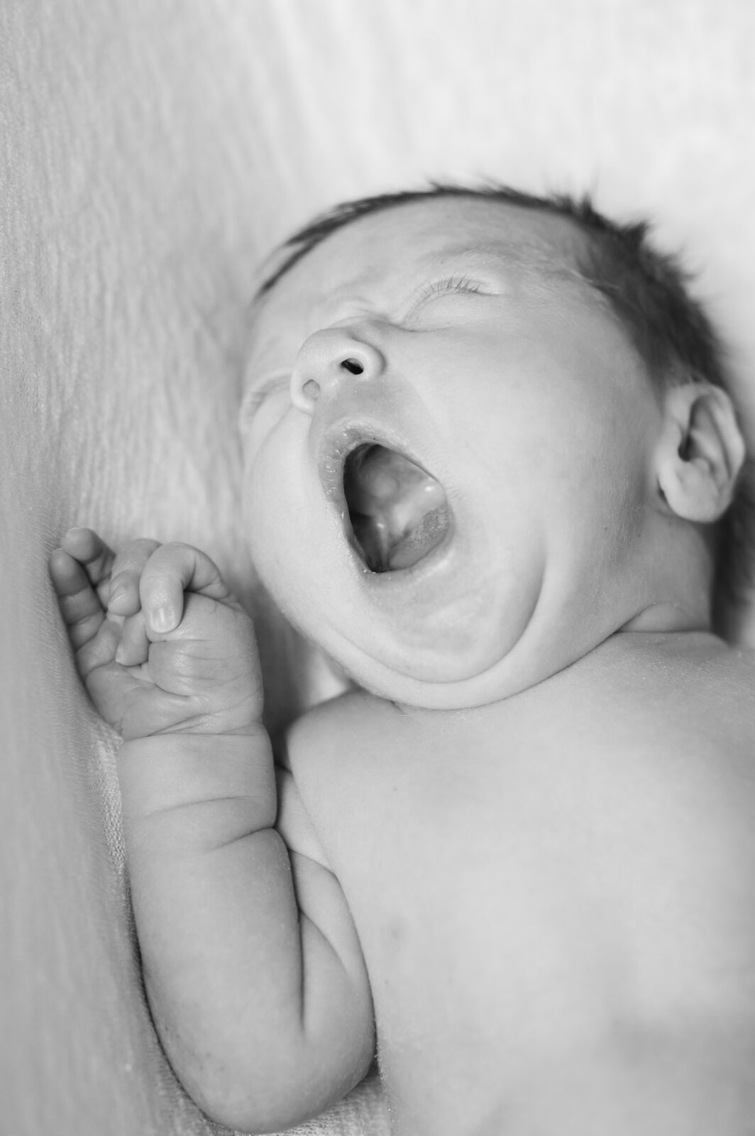 Rexburg newborn photos