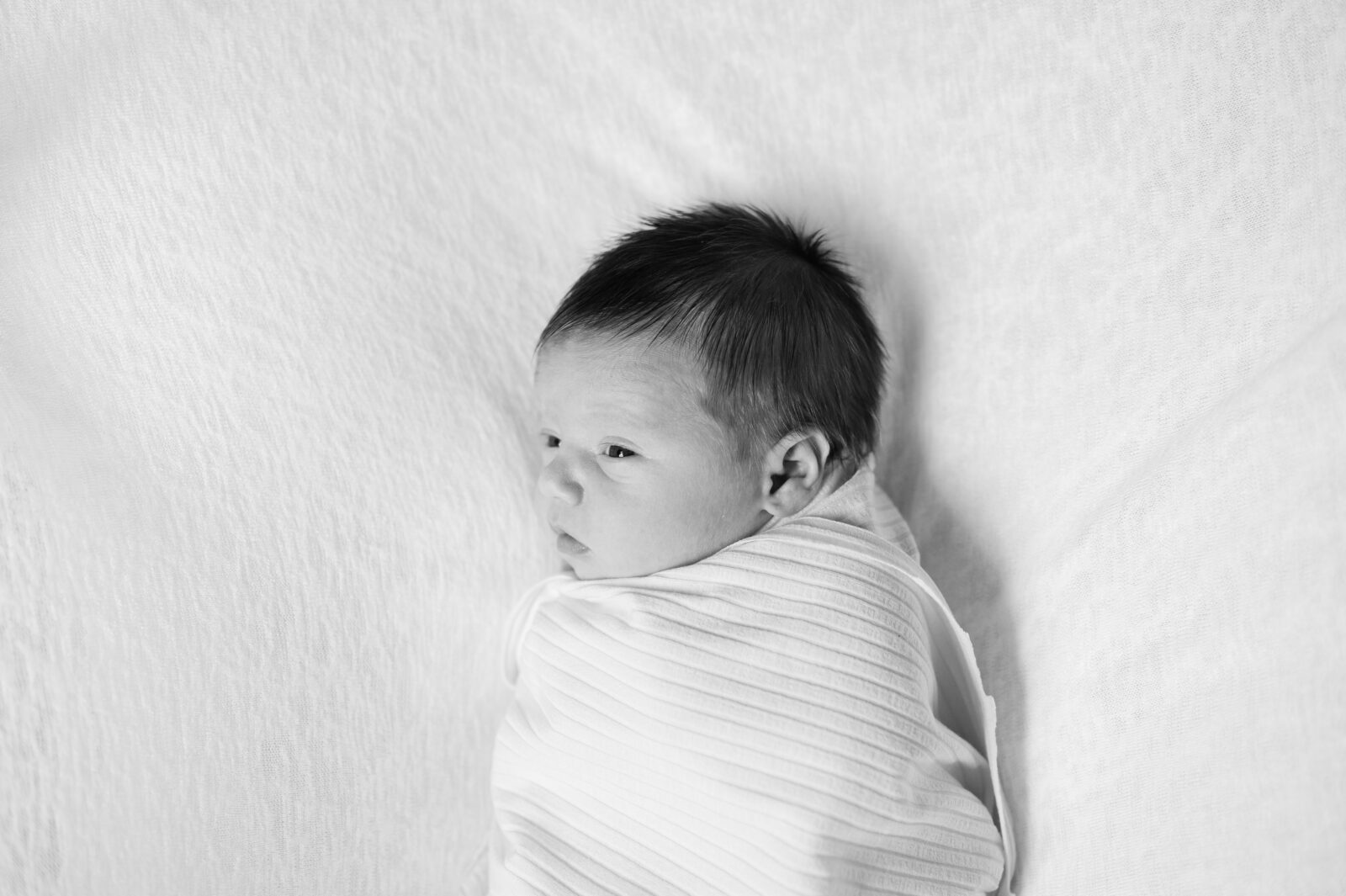 Newborn photography in Rexburg